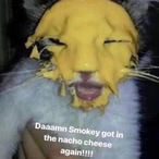 YoungFootSocks's Avatar'