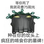 KnowWhiteQiuqiu's Avatar'