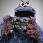 Cookie-Mobster's Avatar'