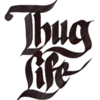 NoMercyFool's Avatar'