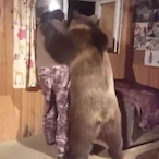 FreedPython8742's Avatar'