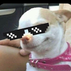 CocoBean4783's Avatar'