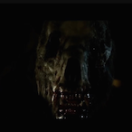 ASAPStealthwolf's Avatar'