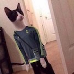 mmmdih small's Avatar'