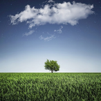 PeterMagnuss0n's Avatar