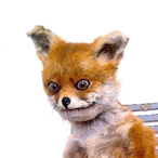 TaiIs_the_Fox's Avatar'