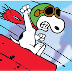 Yorkie_45's Avatar'
