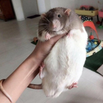 cmunky69's Avatar'