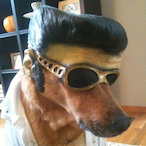 Francy231346's Avatar'