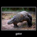 ReverndRohypnol's Avatar'