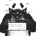 SummitPanda's Avatar'
