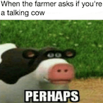 perhaps..'s Avatar'