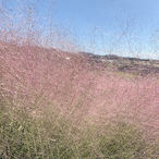 related-madcap82's Avatar'