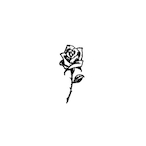blxdcl0tt_tv's Avatar'