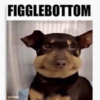 Sir.MoistToes's Avatar'