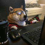 GoodGuyFishy's Avatar'