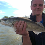 NightKrawler256's Avatar