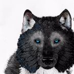 TheWolfIsMean's Avatar'