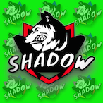 shadow-skiwi's Avatar'