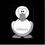 VG_sxltyy's Avatar'