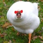 DoctorDomoCup's Avatar'