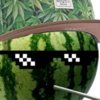 Skilledmelon19's Avatar'