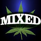 CaIShiesty's Avatar'