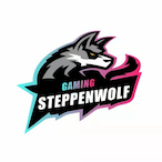 TedezaNeko.SWG's Avatar'