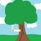 Tree.WV's Avatar'