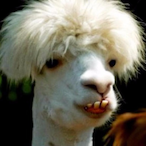 WhyUPeekME69's Avatar'