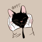 ImNotAStreamer's Avatar'