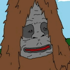roblastic's Avatar'