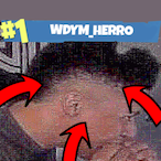 herro_my_dudes's Avatar'