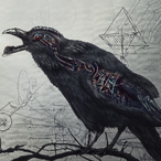 iLikeitrealrough's Avatar'