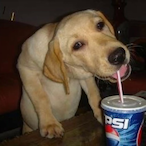 EatSomeIceSoup's Avatar'