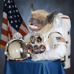 Space_Bat.'s Avatar'