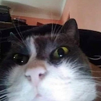 Crispi_Mc.bacon's Avatar'