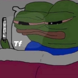 IGNPyRo