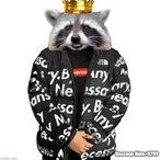 MapacheViking's Avatar'