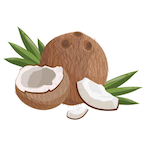 Coconut.Bae's Avatar'