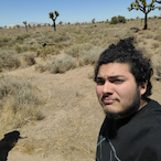 mustyadventurer's Avatar'