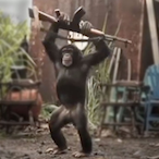 veinyplatano's Avatar'