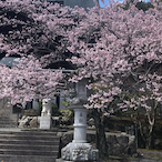 JIRO8492's Avatar'