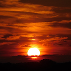 MikeMinder.'s Avatar'