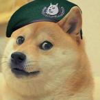 seargentdoge69's Avatar'