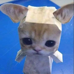 HUWMAW's Avatar'