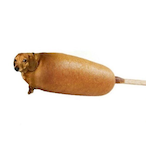 TornaII's Avatar'