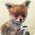 Omelal's Avatar'