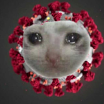 Bytesel's Avatar'