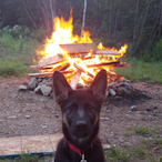 Donnykdelrey's Avatar'